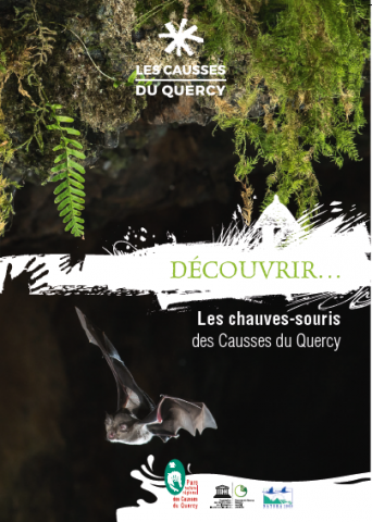Livret Découvrir les chauves-souris - Natura 2000